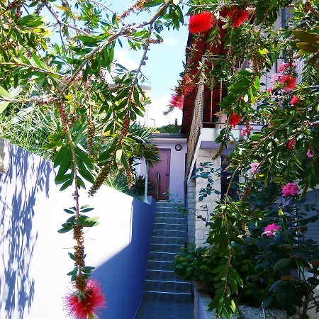 Viola Aparthotel 4*